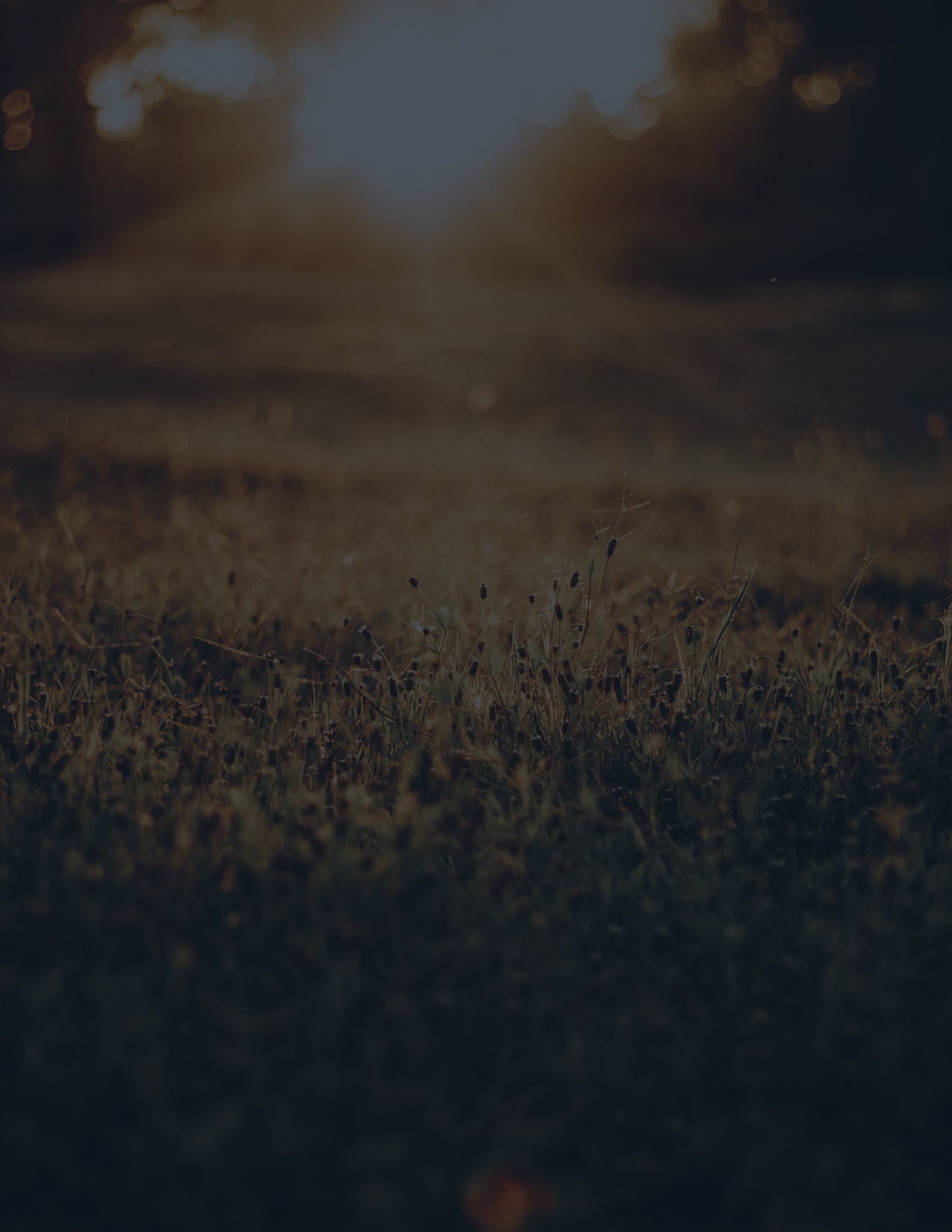 The Midlife Energy Reset