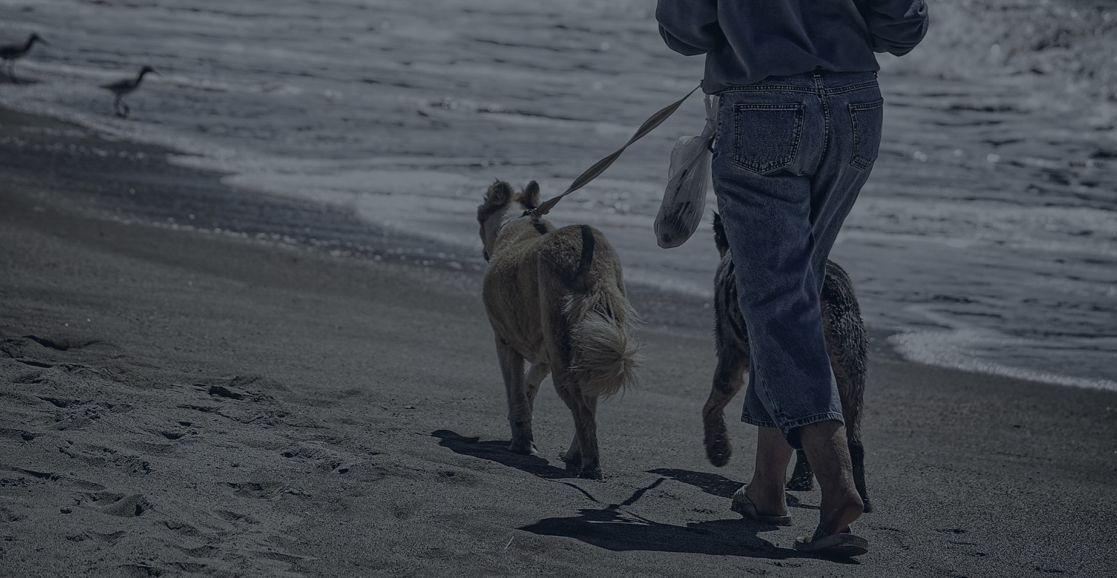 Why Walking Might Be the Most Underrated Habit